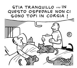 11/01/2007 - Maramotti 